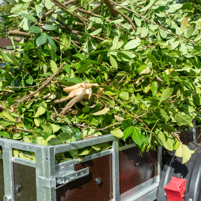 YARD DEBRIS REMOVAL
